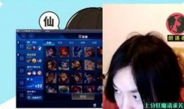 国服瑶妹事件爆料视频,揭秘网络暴力与道德沦丧的黑暗面